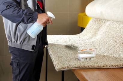 professional upholstrey and carpet cleaners in pacific palisades