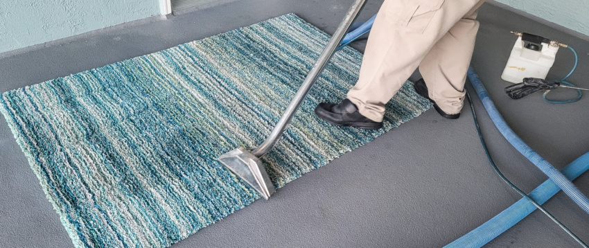Seasonal Carpet Care: Preparing for Holidays, Parties, and Guests