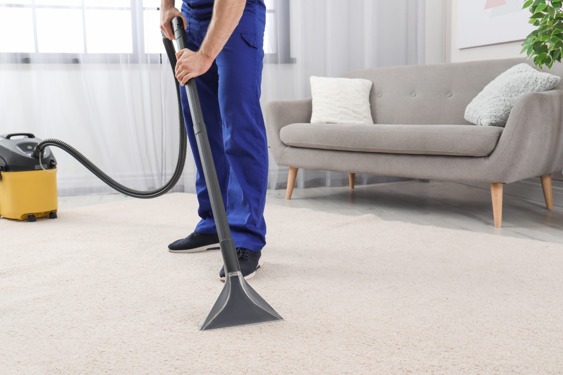 Carpet Cleaning Tips for Beach Homes in Santa Monica and Malibu